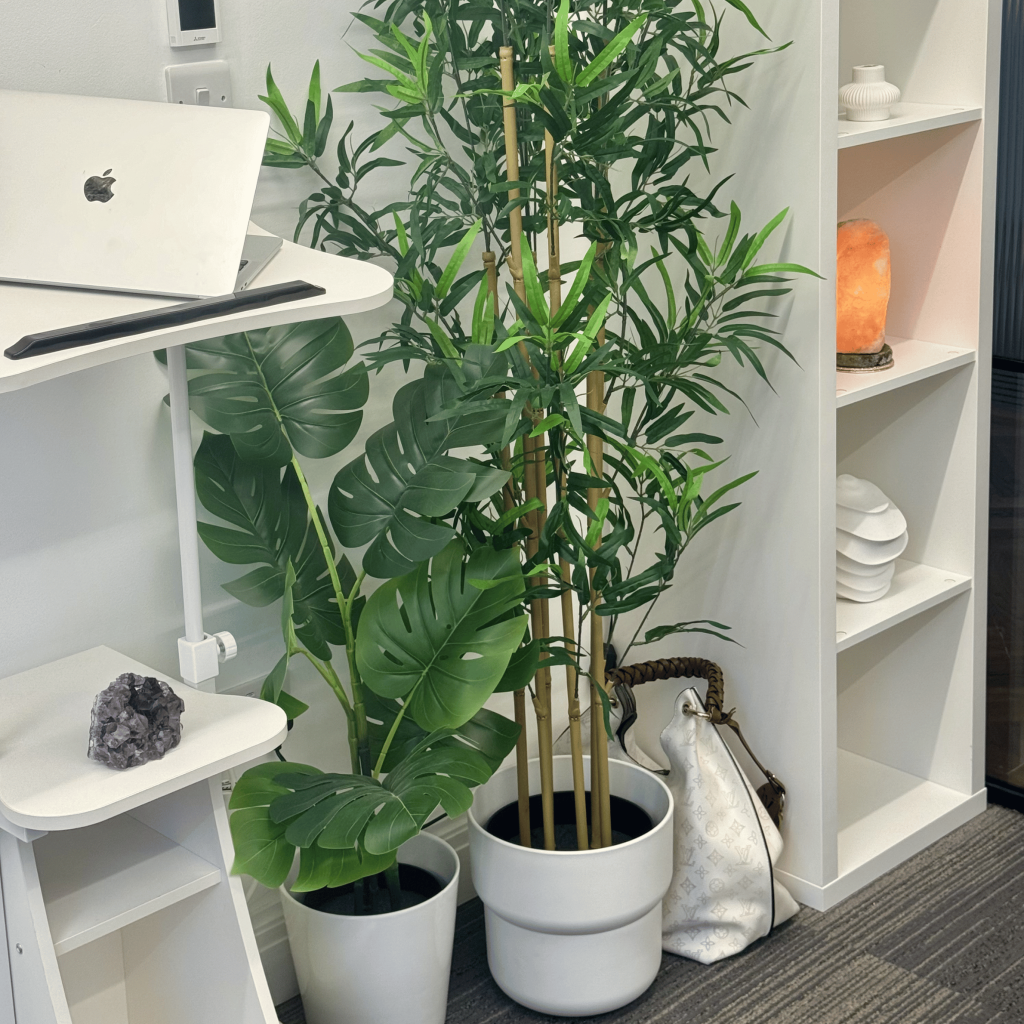 Interior detail at Mayfair & Belgravia Chiropractic clinic